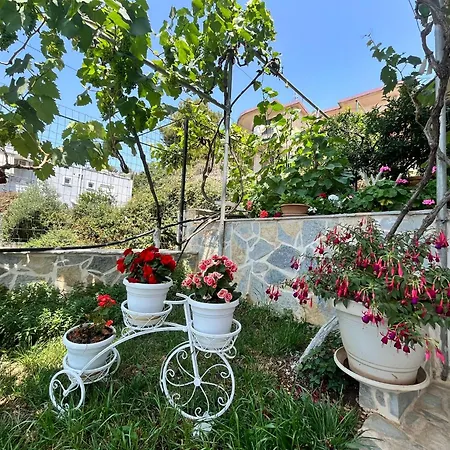 Apartman 24